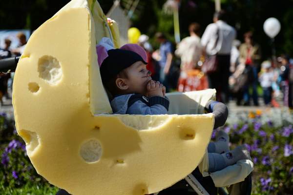 Почти 70% сыров в России делают мини-сыроварни и молокозаводы. Главное, чтобы всем хватило