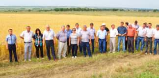 Большое всегда начинается с малого