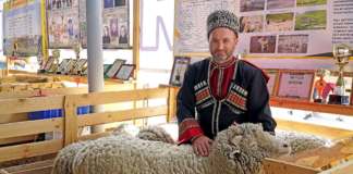 «Чох» в числе призёров