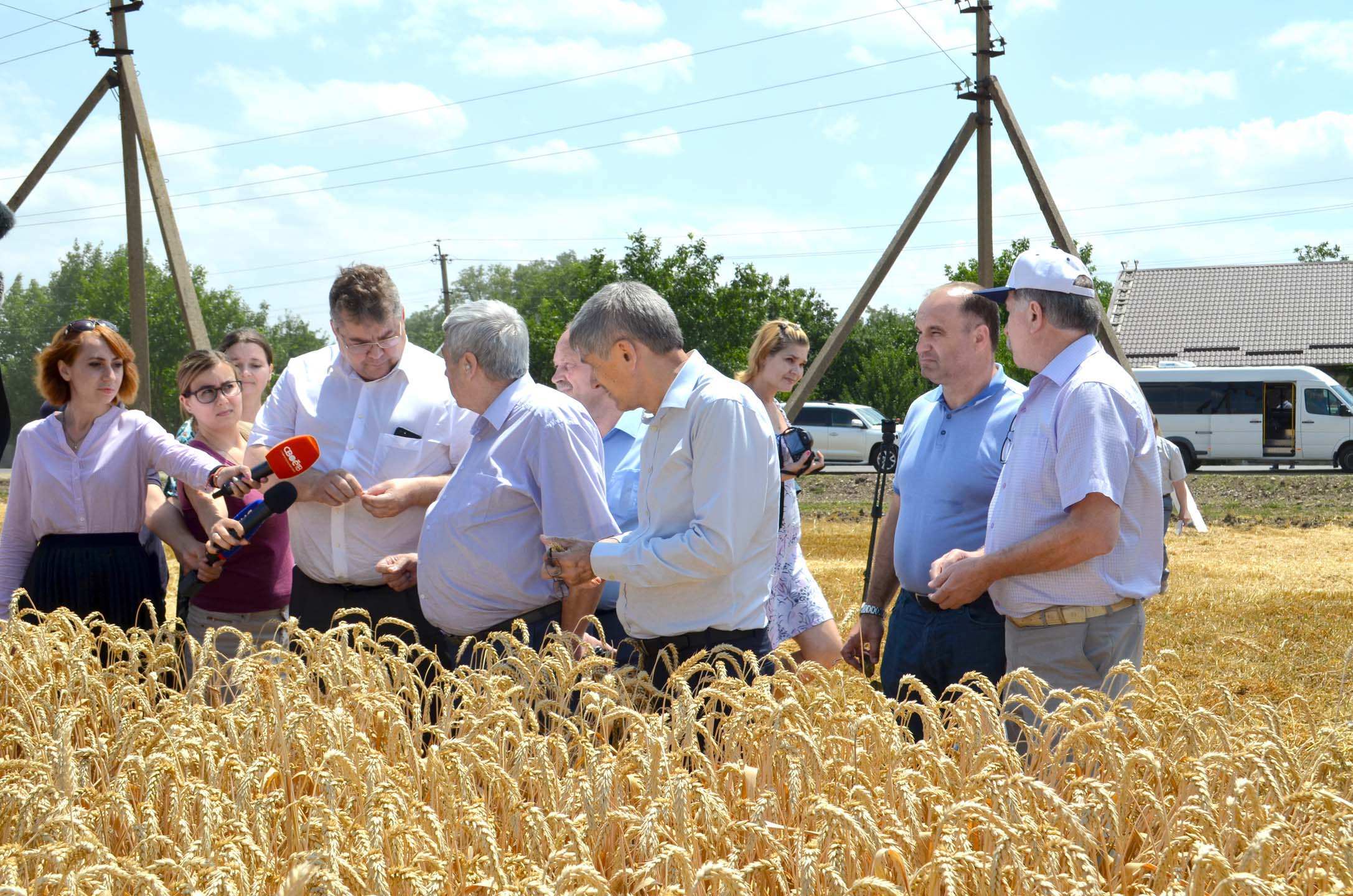 В сентябре был собран рекордный урожай. Сельскохозяйственный племколхоз Россия. Сбор урожая на Ставрополье. Богатый урожай злаков. Мой рекордный урожай.