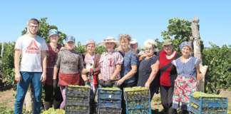 Отменное качество и великолепный вкус