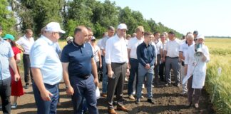 По законам жатвы