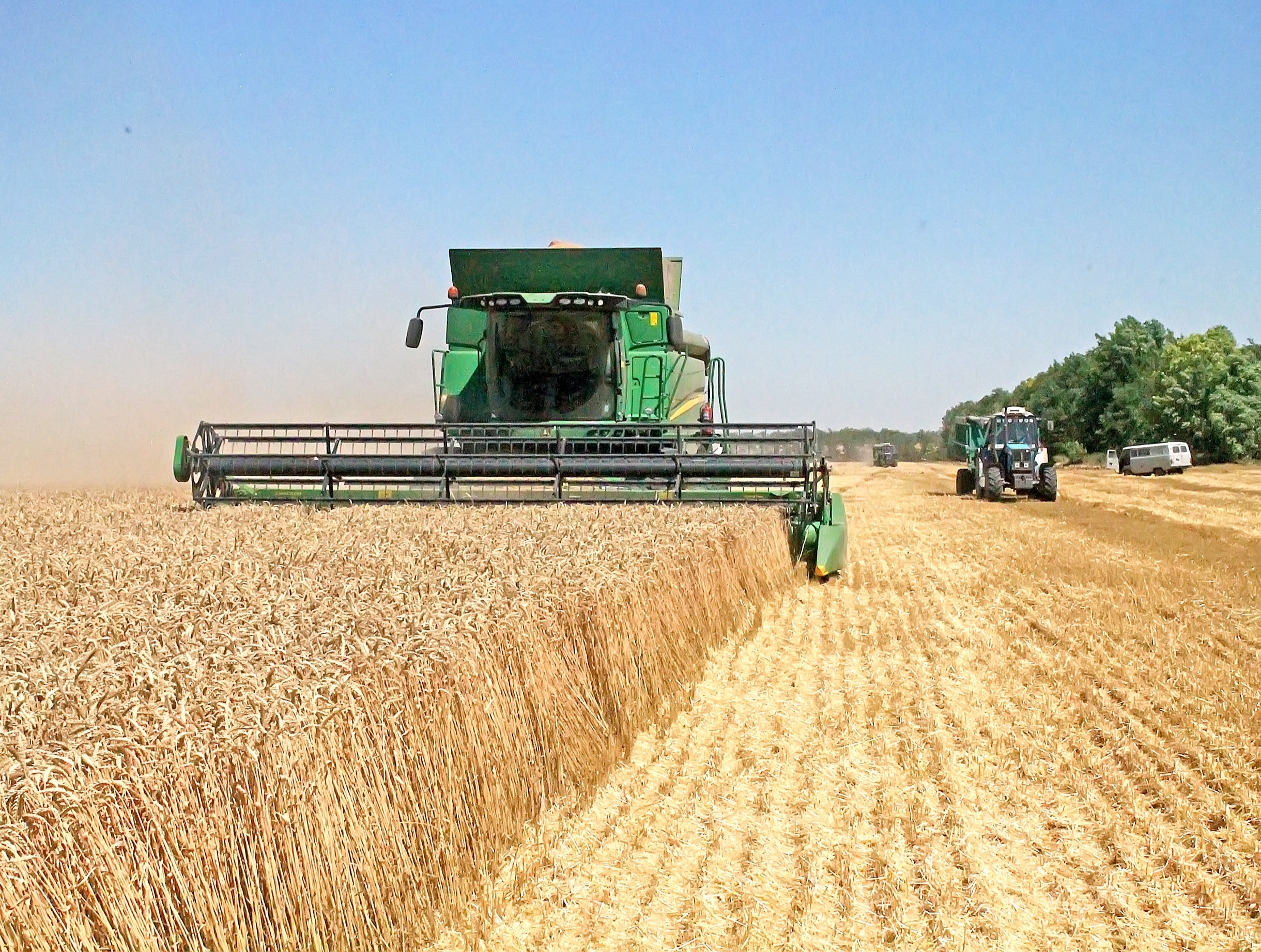 В сентябре был собран рекордный урожай. Урожай зерна Ставрополье 2022. Уборка урожая. Жатва на Ставрополье. Рекордный урожай.