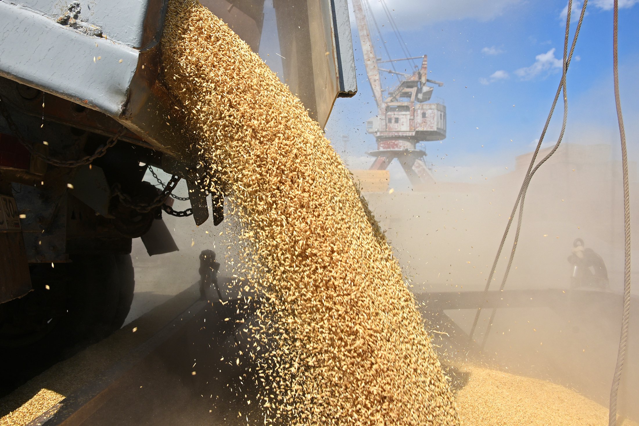 Россия производство зерновых. Экспорт зерна. Поставки зерна. Вывозка зерна. Отгрузка зерна.