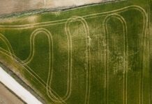 Агропромышленный кластер на острове Большой Уссурийский