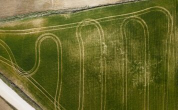 Агропромышленный кластер на острове Большой Уссурийский