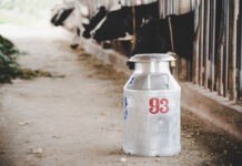 На Урале увеличили переработку сырого молока