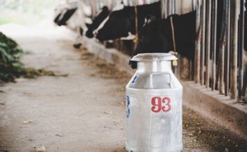 На Урале увеличили переработку сырого молока