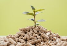 Цены на комбикорма в России в 2025 году выросли на 9%