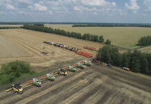 География стабильности: искусство высоких урожаев