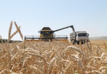 Чувашия будет выдавать субсидии на лизинг сельхозтехники в цифровых рублях