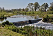 Южные регионы России решают вопросы маловодья и опустынивания развития АПК