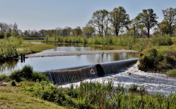 Южные регионы России решают вопросы маловодья и опустынивания развития АПК