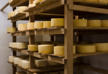 Новый ГОСТ на полутвёрдый сыр: что изменится