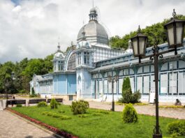 Опубликована культурная программа Кавказского инвестиционного форума