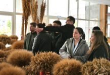 Повышение компетенций будущих экспертов по продуктам из растительного сырья