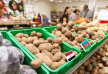 Овощной разрыв: между полем и полкой
