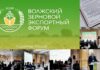 Волжский зерновой экономический форум «ЗОЛОТО ПОВОЛЖЬЯ»