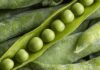 Доля продукции с высокой добавленной стоимостью в сельхозэкспорте РФ достигла 50%