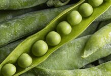 Доля продукции с высокой добавленной стоимостью в сельхозэкспорте РФ достигла 50 %