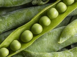 Доля продукции с высокой добавленной стоимостью в сельхозэкспорте РФ достигла 50 %