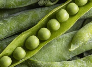 Доля продукции с высокой добавленной стоимостью в сельхозэкспорте РФ достигла 50 %