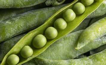 Доля продукции с высокой добавленной стоимостью в сельхозэкспорте РФ достигла 50 %
