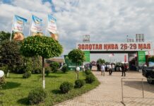 Золотая Нива 2026