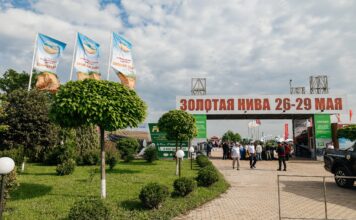Золотая Нива 2026