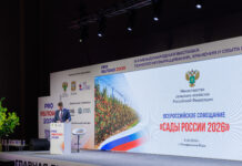 PRO ЯБЛОКО 2026: главная площадка развития российского садоводства