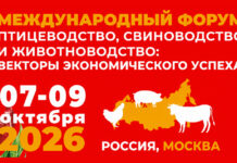 «Золотая Осень»: форум по птицеводству, свиноводству и животноводству