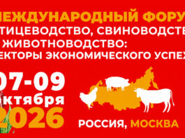 «Золотая Осень»: форум по птицеводству, свиноводству и животноводству