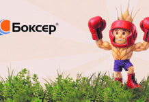 БОКСЕР®: высокий урожай закладывается с осени