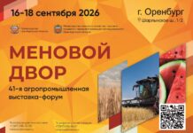 В сентябре стартует ключевая агропромышленная выставка «Меновой двор»