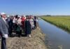 Ростсельмаш главный помощник в рисовой отрасли на Кубани