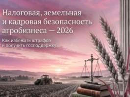 Юридическая безопасность агробизнеса: закрываем риски до того, как придет проверка