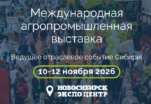 Хозяйство – это бизнес