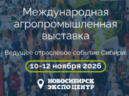Хозяйство – это бизнес