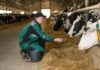Современные технологии высокой продуктивности