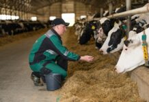 Современные технологии высокой продуктивности