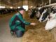 Современные технологии высокой продуктивности